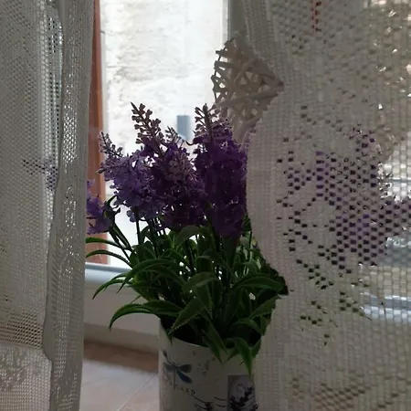 D&m - An In The Heart Of The Old Town 시베니크