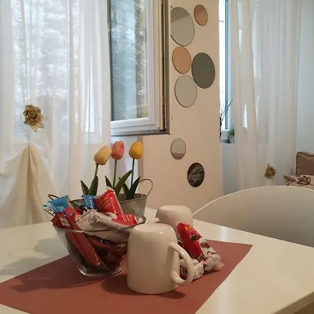 D&m - An In The Heart Of The Old Town Apartment Sibenik
